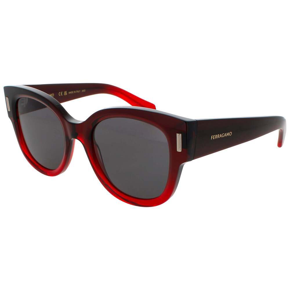 NWT Salvatore Ferragamo SF2007S Gradient Transparent 51mm Sunglasses